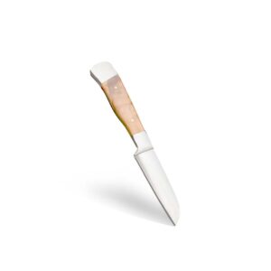 stainless steel paring knife