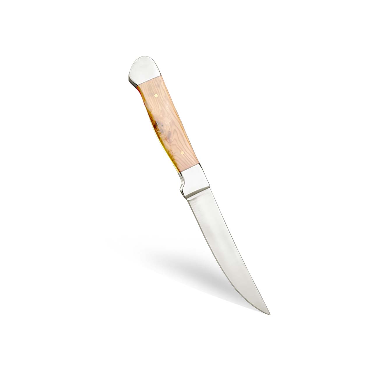 Best Stainless Steel Steak Knives